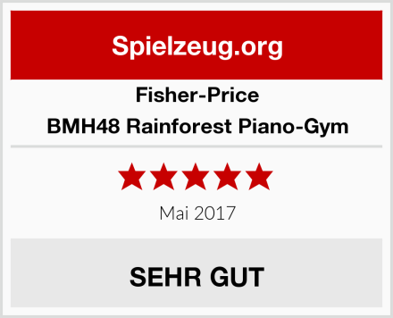 Fisher-Price BMH48 Rainforest Piano-Gym Test