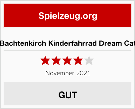  Bachtenkirch Kinderfahrrad Dream Cat Test
