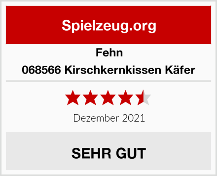 Fehn 068566 Kirschkernkissen Käfer Test