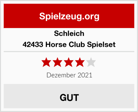 Schleich 42433 Horse Club Spielset Test