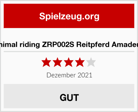  Animal riding ZRP002S Reitpferd Amadeus Test