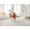 Fisher-Price 4 in 1 Activity Center
