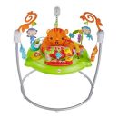 Fisher-Price CHM91 Rainforest Jumperoo