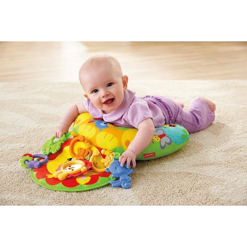 Fisher-Price Y6593 