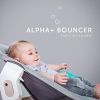 Hauck Toys Neugeborenen Aufsatz / Alpha Bouncer 2in1