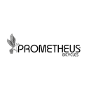 PROMETHEUS Logo