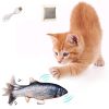  Aimtel Katzenspielzeug Fisch