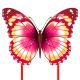 &nbsp; Mints Colorful Life Schmetterling Drache Test